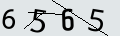 verifycode